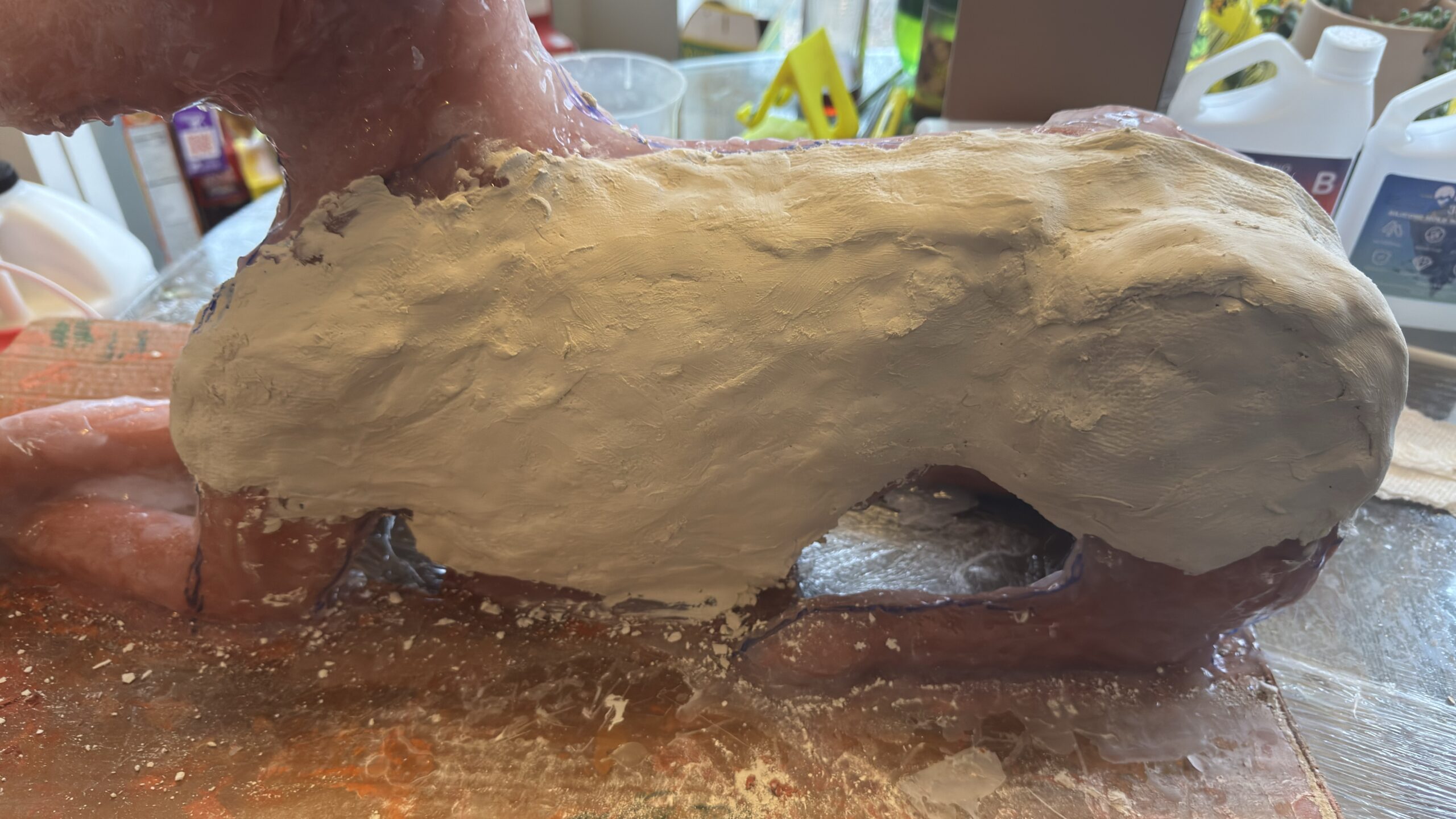 First mold, silicone and plaster
